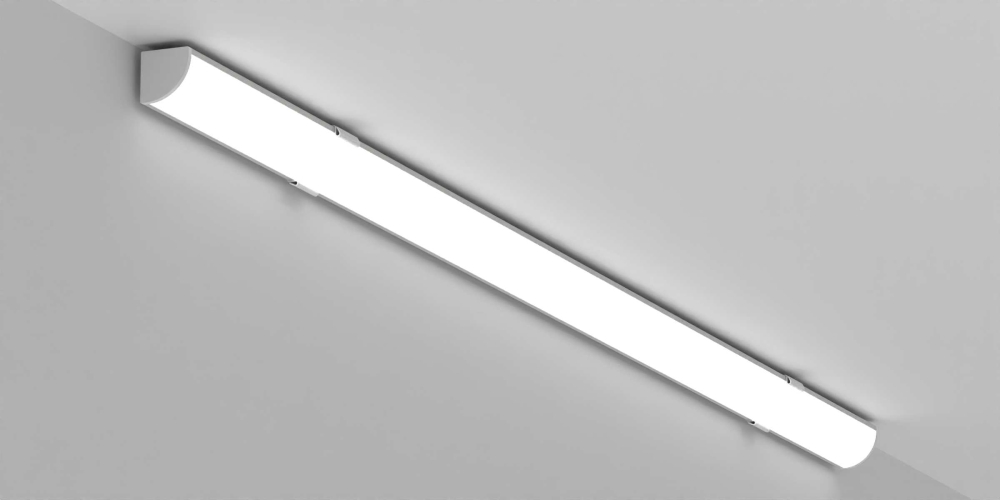 CLA16
